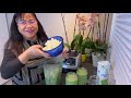 how to make my own version of honeydew melon kale u0026 avocado smoothie