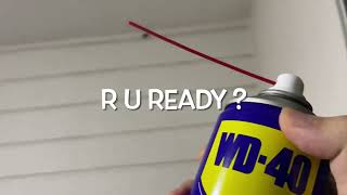 How to kill Cockroach effectively with WD-40 kill