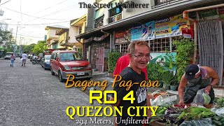 Tour to the fresh ambience of RD 4 in Quezon City in the Philippines (294m)