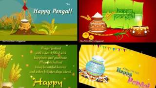 Happy Pongal Latest wishes, greetings, Whatsapp Video, E-card,Blessings,Sms