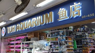 LIOW VIDEO: Visit TOH AQUARIUM with Jackson 逛鱼店买鱼