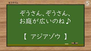 アジアゾウ：2024年6月：のんほいパーク：ぞうさん、ぞうさん、お庭が広いのね♪