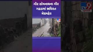 ગીર સોમનાથના ગીર ગઢડામાં અવિરત મેઘમહેર | #girsomnath #gujarat #gujaratrains  #shorts