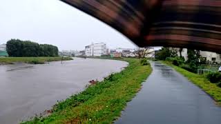 2019/10/12　恩田川台風で増水