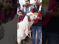 janasheen sold in hyderabad hassan $ishtiyaq patel sohailgoat