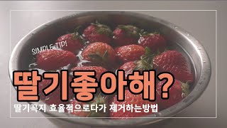 [SIMPLE COOKING] 딸기꼭지 쉽게 제거하는 영상