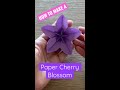 origami cherry blossom full video in the description 🌸