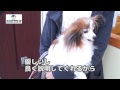 船堀駅の動物病院「ふなぼり動物病院」飼い主の声（江戸川区）