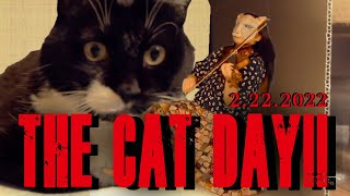 [Super Cat Day] I was stepped on by the cat on February 22nd, 2022 and I was really happy. [violin]