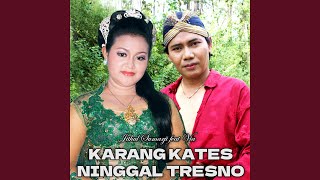 Karangkates Ninggal Tresno (feat. Via)