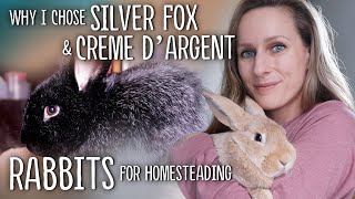 Why I chose SILVER FOX and CREME d'ARGENT Rabbits for Homesteading