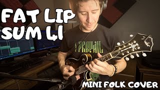 Erik Langelier - Fat Lip (SUM 41 MINI FOLK COVER)