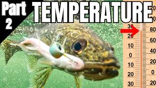 Walleye Temperature Patterns That Catch More Fish!