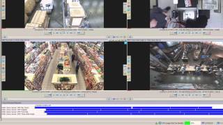VIGIL 7.5 Synchronized Playback