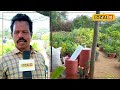 chittoor ఈ నర్సరీలో ఈ మెుక్కలకు భలే డిమాండ్.. plant nursery local18