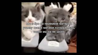 Какие милые сидят🥹😊 #юмор #приколы #урок #сидим #милые