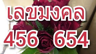 เลขมงคล 456 654, เลข 456 654, เลขสติปัญญาดี เจรจาการค้า มีเสน่ห์แบบน่ารักเรียบร้อย