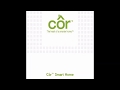 CoR 7 Thermostat app stuck and not working