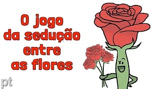 Quem as flores estão tentando seduzir? | Minuto da Terra