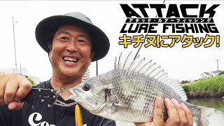 ＃7 キチヌにアタック！『アタック・ルアーフィッシング』