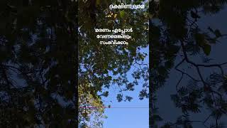 മരണം എപ്പോൾ വേണമെങ്കിലും | live every moment of your life | #shortsfeed #shorts | ദക്ഷിണ ലാമ  M065