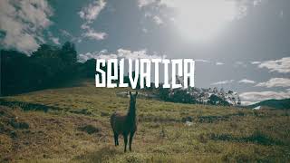 'El Valle del Solitario' || SELVATICA || Organic Latin American Electronic Music | CHILL RAVE mix