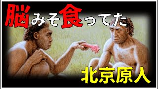 仲間の脳みそを食べていた北京原人の謎【ゆっくり解説】