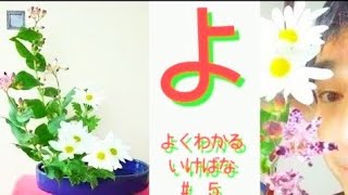 【よくわかる生け花】いけばな小原流 盛花 直立型、ほととぎすと二輪菊で、生け花レッスン！色彩盛花色彩本位