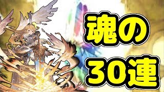 【レジェフェス】光シャルロッテ目指してガチャ30連‼【グラブル】