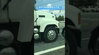 動画の最後に思いがけないものが！#truck #アメリカ #car