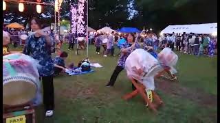 柏踊り　南部公園での祭り　南増尾太鼓