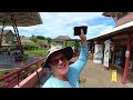 ocho rios jamaica cruise port tour everything you need to know about ocho rios jamaica