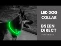 Why Didn't I Buy One Sooner? | BSEEN TPU Cuttable LED Dog Collar