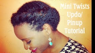 Swirled Flat Twists And Mini Twists On Natural Hair