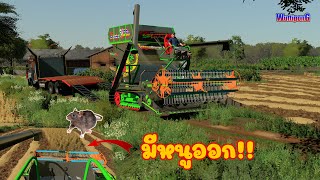 รถเกี่ยวข้าวไทยเจริญ จัดให้ตามคอมเม้น เกี่ยวข้าว5ไร่ วิ่งไล่หนู!! Ep.47 Farming Simulator 19