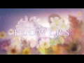 flowers秋篇 オープニングムービー