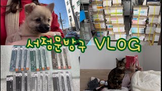 VLOG | 서점문구점브이로그 | 강아지와고양이 그리고 책, 이게 행복이지 | 납품, 출판도매폐업, 신상문구(먼작귀, 브롤스타즈카드, 축구카드, 델가스 뉴칼라, 인형옷)