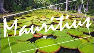 ［VLOG］巨大な蓮(ハス)の植物園 in モーリシャス島【アジア中東アフリカ縦断#101】