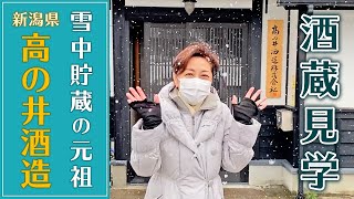 雪中貯蔵の元祖　新潟県「高の井酒造」を見学レポート！