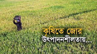 কৃষিতে জোর উৎপাদনশীলতায় | Bangla Business News | Business Report 2022
