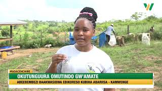 AGACENCWIRE: Okutunguura omutindo gw'amate, abeebembezi bakwatsiibwe ebikoresa kubiha abariisa.