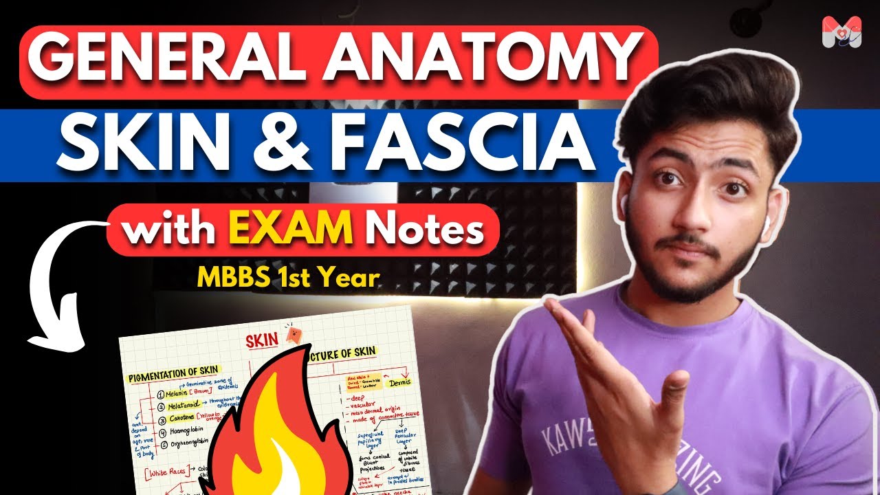 General Anatomy - Skin And Fascia | MBBS 1st Year | Full Explanation ...