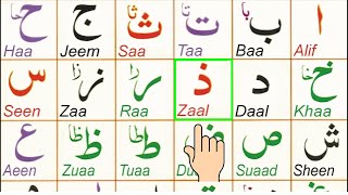 Qaida Noorania lesson 1 Alif Baa Taa | Arabic Alphabet |  Arabic Alphabets for Beginners Epi 135