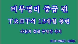 106 비부명리 중급편, 丁火日干의 12개월 통변 1부