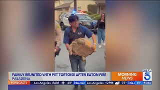 Pet tortoise reunited with family after 'miraculous' fire survival