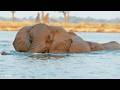 LIVE at the waterhole - 07 April 2026