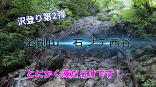 金剛山石ブテ西谷で沢登り　とにかく滝だらけです