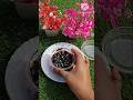 2 ingredients chocolate🍫 cake 🎂🎂 #shorts #ytshorts #trending #food #chocolate #cake #popular