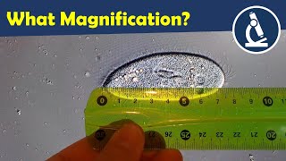 🔬 Why you should not include a magnification in your microscopy micrographs