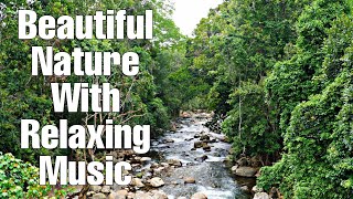 BEAUTIFUL NATURE WITH RELAXING MUSIC /Deepthis D World